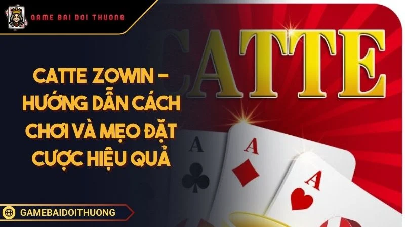 Catte Zowin - Hướng Dẫn Cách Chơi Và Mẹo Đặt Cược Hiệu Quả Ảnh đại diện Catte Zowin